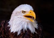 008 Amelie Häfner 2